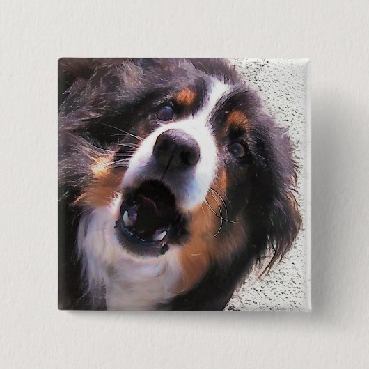 BADGE CARRÉ 5 CM COLLIE FRONTALIÈRE (Devant)