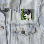 BADGE CARRÉ 5 CM COLLIE FRONTALIÈRE (En situation)