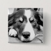 BADGE CARRÉ 5 CM COLLIE FRONTALIÈRE (Devant)