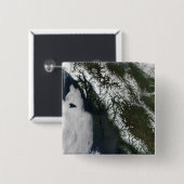 Badge Carré 5 Cm Colombie-Britannique (Devant & derrière)