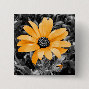 Badge Carré 5 Cm Color Splash Spring Flash African Daisy Photograph