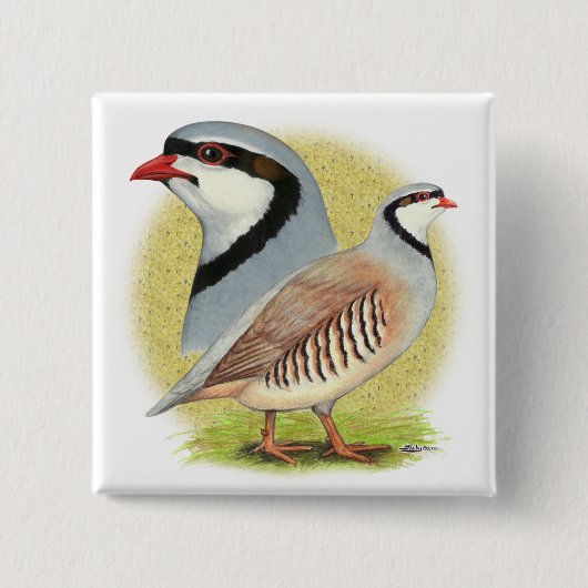 Badge Carré 5 Cm Combo de perdrix de Chukar (Devant)