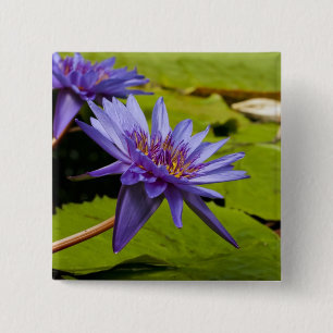 Badge Carré 5 Cm Conception botanique florale de nénuphar tropical