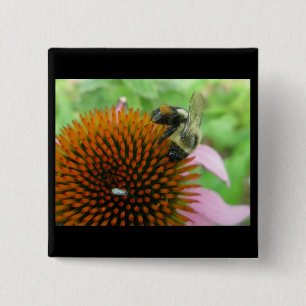 Badge Carré 5 Cm Coneflower & Eastern Carpenter Bee Items