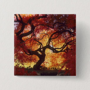 Badge Carré 5 Cm Connecticut : Darien, acre d'érable japonais