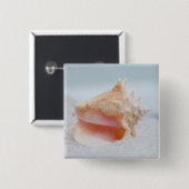 Badge Carré 5 Cm Conque Shell (Devant & derrière)