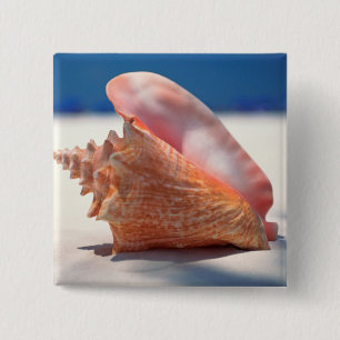 Badge Carré 5 Cm Conque Shell sur la plage 2