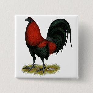 Badge Carré 5 Cm Coq Rouge Noir BB Américain