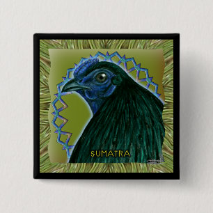 Badge Carré 5 Cm Coq Sumatra encadré