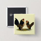 Badge Carré 5 Cm Coqs nains belges de d'Anvers :  Cailles (Devant & derrière)