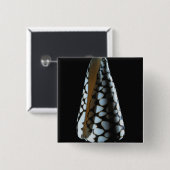 Badge Carré 5 Cm Coquille 2 de cône (Devant & derrière)