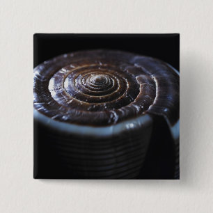 Badge Carré 5 Cm Coquille de cône