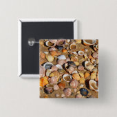 Badge Carré 5 Cm Coquilles sur une plage sablonneuse | Andalousie, (Devant & derrière)