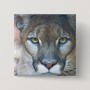 Badge Carré 5 Cm Cougar, lion de montagne, panthère de Floride, Pum