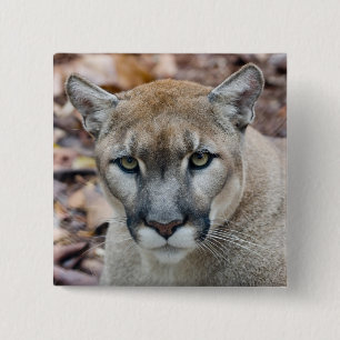 Badge Carré 5 Cm Cougar, lion de montagne, panthère de Floride, Pum