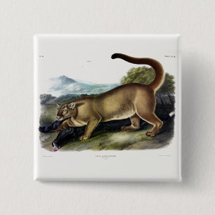 Badge Carré 5 Cm Cougar ou Puma, Panther, Lion de montagne, Montagn