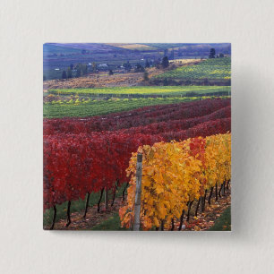 Badge Carré 5 Cm Couleurs d'automne rouges et jaunes intenses sur G