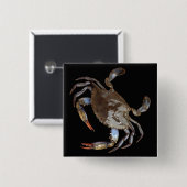Badge Carré 5 Cm Crabe bleu (Devant & derrière)