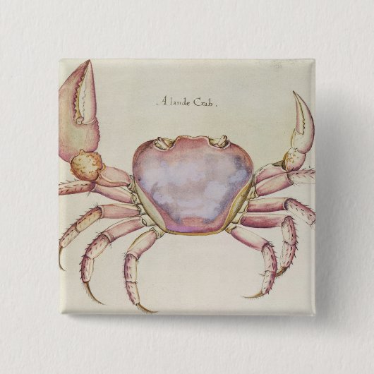 Badge Carré 5 Cm Crabe terrestre (Devant)