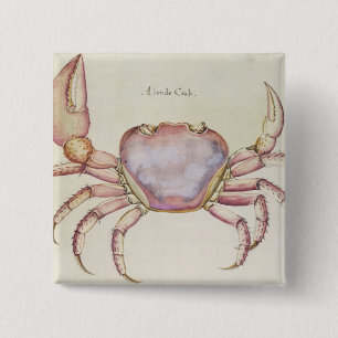 Badge Carré 5 Cm Crabe terrestre