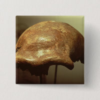 Crâne d'un Neanderthal