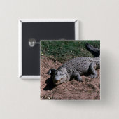 Badge Carré 5 Cm Crocodile du Nil (Devant & derrière)