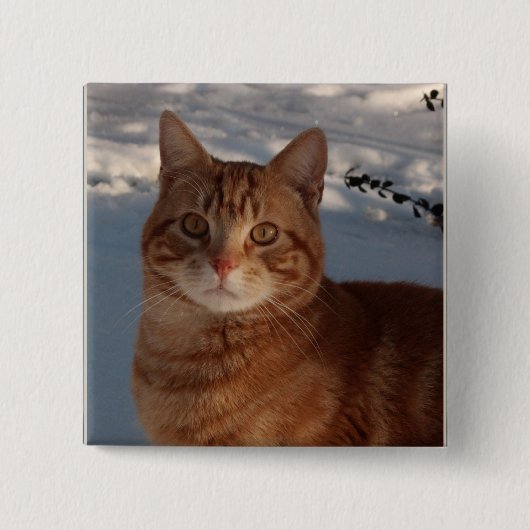 Badge Carré 5 Cm Cute chat (Devant)