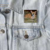 Badge Carré 5 Cm Cute Chihuahua Repose (En situation)