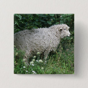 Badge Carré 5 Cm Cute Greedy Sheep Eating Button