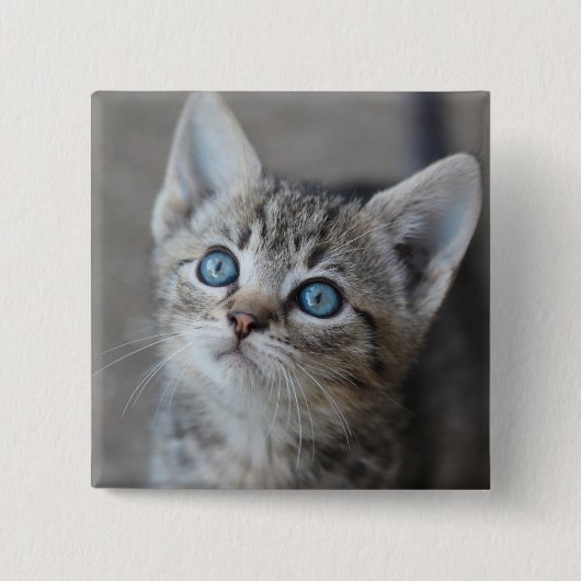 Badge Carré 5 Cm Cute Kitten (Devant)