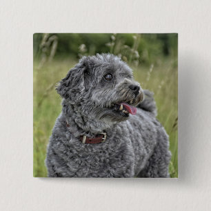 Badge Carré 5 Cm Cute Terrier Chien