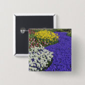 Badge Carré 5 Cm Daffodils et raisin Hyacinth, Keukenhof 2 (Devant & derrière)