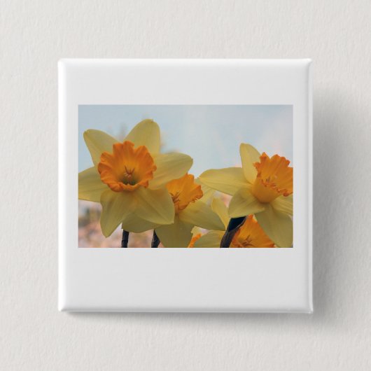 Badge Carré 5 Cm Daffodilux (Devant)