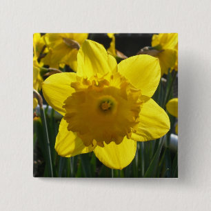 Badge Carré 5 Cm Daffodique éclairé