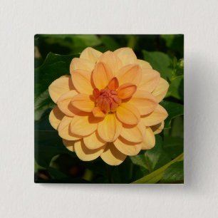 Badge Carré 5 Cm Dahlia 'David Howard'