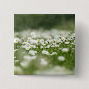 Badge Carré 5 Cm Daisy Meadow
