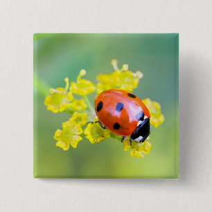 Badge Carré 5 Cm dame sur le dessus