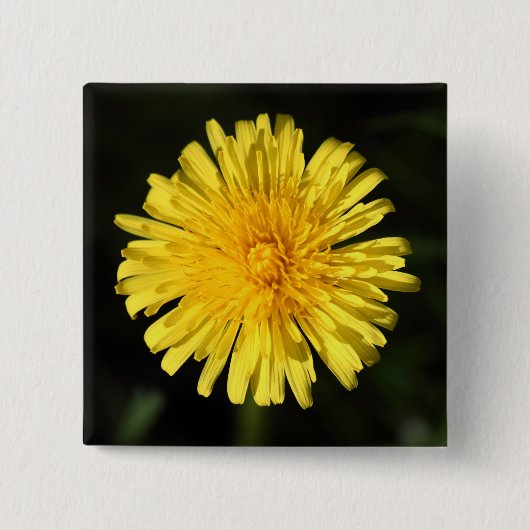 Badge Carré 5 Cm Dandelion (Devant)