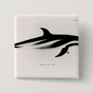 Badge Carré 5 Cm Dauphin