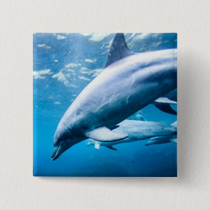 Badge Carré 5 Cm Dauphins sous-marins