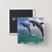 Badge Carré 5 Cm Delfin (Devant & derrière)