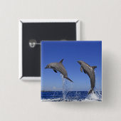 Badge Carré 5 Cm Delfin 2 (Devant & derrière)