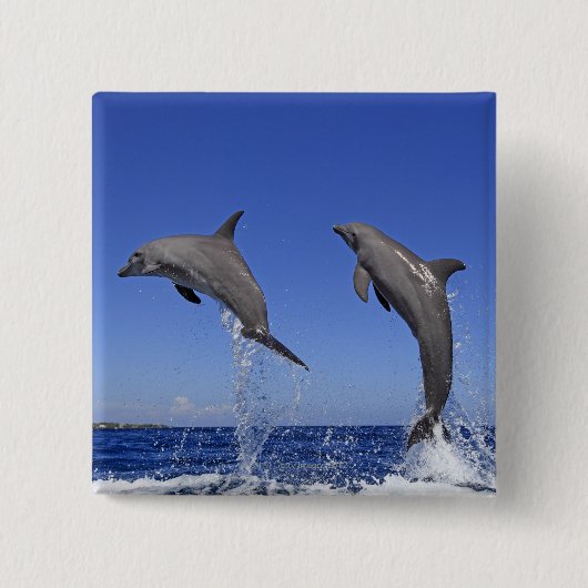 Badge Carré 5 Cm Delfin 2 (Devant)