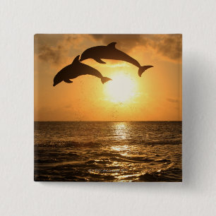Badge Carré 5 Cm Delfin 3