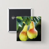 Badge Carré 5 Cm Des poires sur un arbre photo (Devant & derrière)