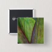 Badge Carré 5 Cm Détail du Plante Agave (Devant & derrière)