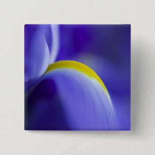 Badge Carré 5 Cm Détail rapproché d'un iris Blue Flag.
