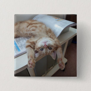 Badge Carré 5 Cm Détente de Kitty