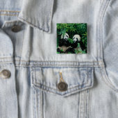 Badge Carré 5 Cm Deux pandas mangeant du bambou ensemble, Wolong (En situation)