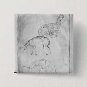 Badge Carré 5 Cm Deux tortues, chèvres et moutons